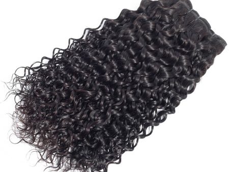 Virgin Indian Wavy Hair For Discount