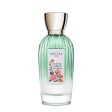 Annick Goutal Petite Cherie Eau de Parfum for Women - Box Item Online Hot Sale