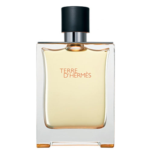 Hermes Terre d Hermes Eau de Toilette for Men - Box Item For Discount