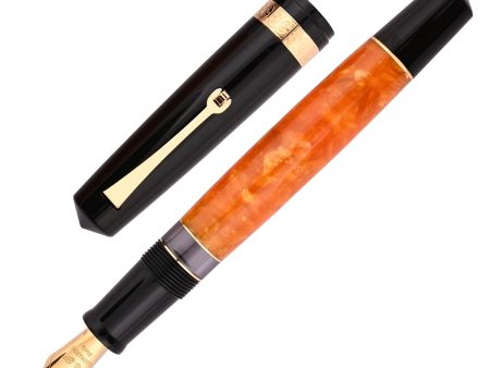 Leonardo Magico Fountain Pen - DNA GT For Cheap