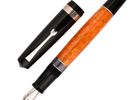 Leonardo Magico Fountain Pen - DNA CT on Sale