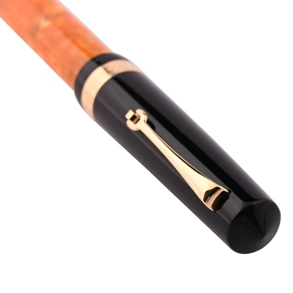 Leonardo Magico Fountain Pen - DNA GT For Cheap